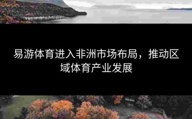 易游体育进入非洲市场布局，推动区域体育产业发展